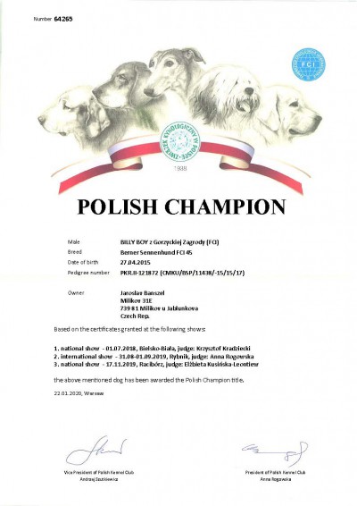 champion-polsko-billy-boy.jpg